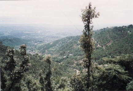 Panoráma Dharamszalából