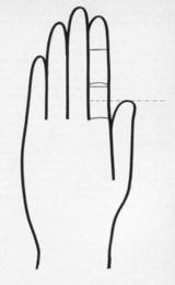 A hüvelykujj hosszának meghatározása