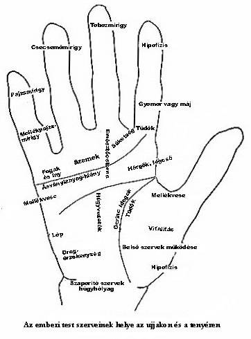 A kéz ütések az ujjain, Legáltalánosabb kézsérülések